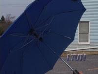 Homeowner's Liability