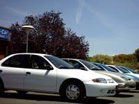 Car Rental Coverage